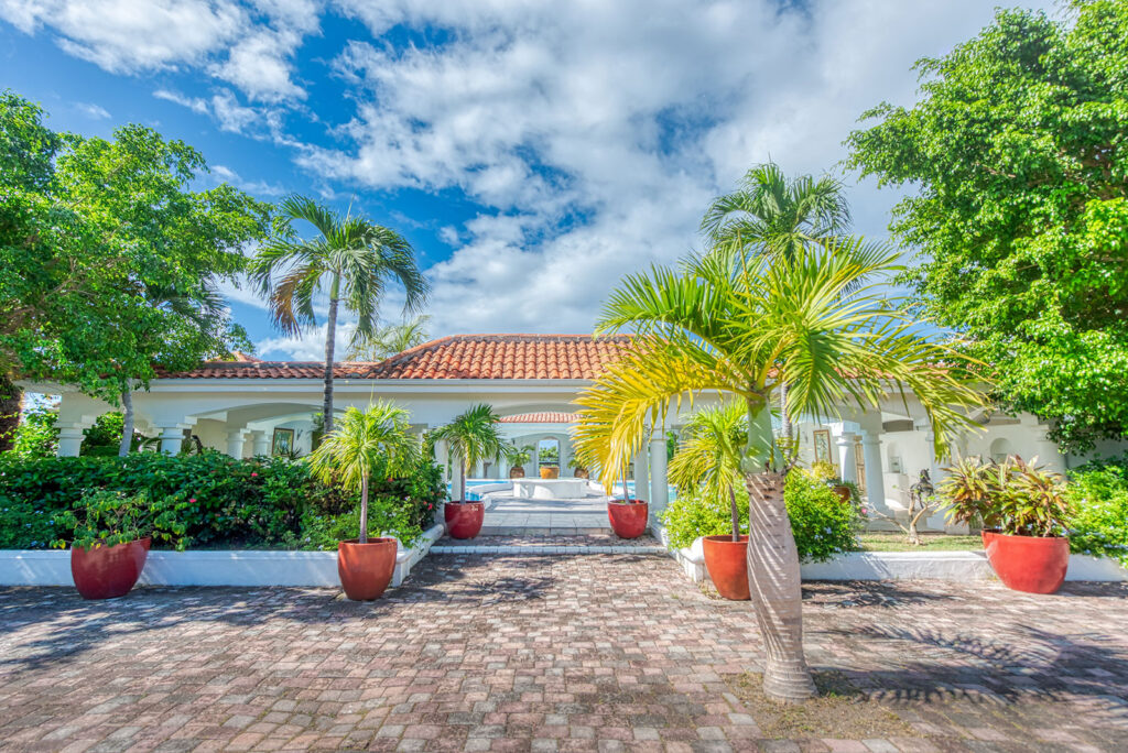 pamplemousse-for-sale-2