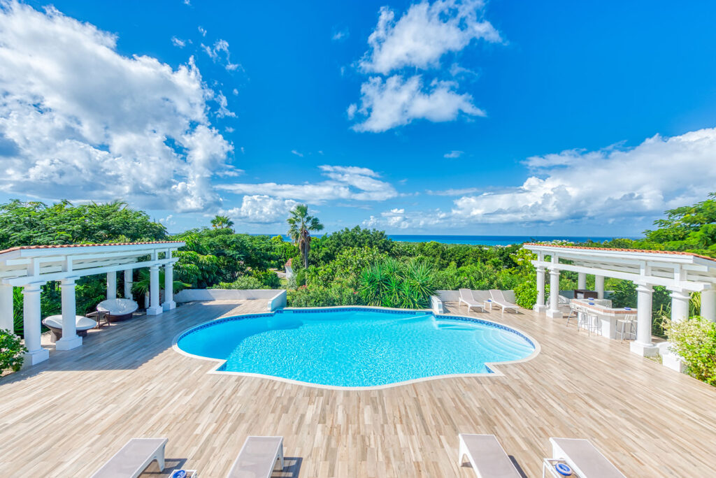 pamplemousse-for-sale-3